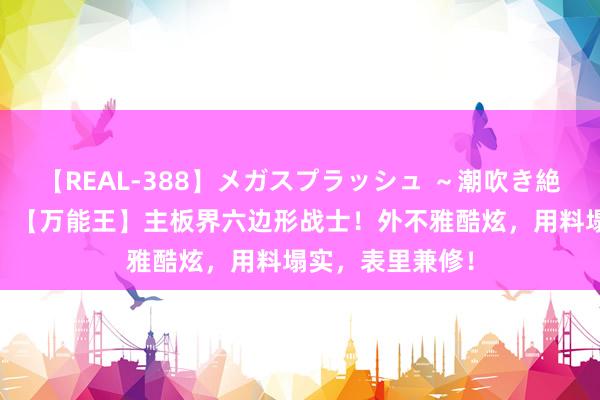 【REAL-388】メガスプラッシュ ～潮吹き絶頂スペシャル～ 【万能王】主板界六边形战士！外不雅酷炫，用料塌实，表里兼修！