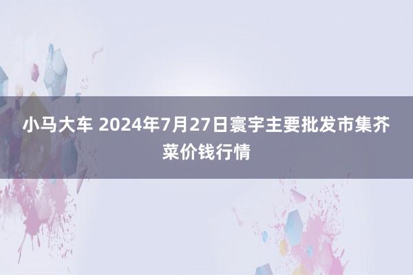 小马大车 2024年7月27日寰宇主要批发市集芥菜价钱行情