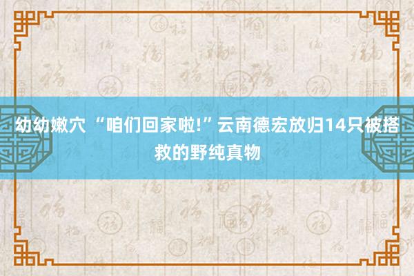 幼幼嫩穴 “咱们回家啦!”云南德宏放归14只被搭救的野纯真物