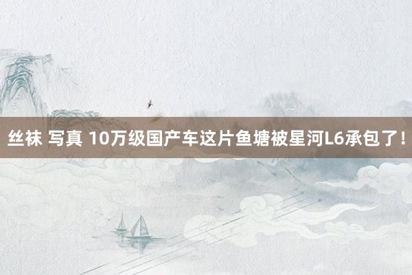 丝袜 写真 10万级国产车这片鱼塘被星河L6承包了！