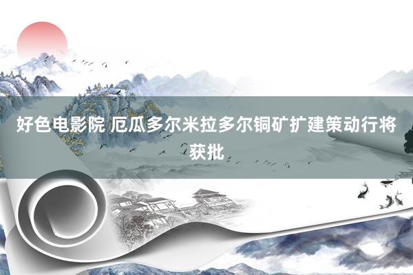 好色电影院 厄瓜多尔米拉多尔铜矿扩建策动行将获批
