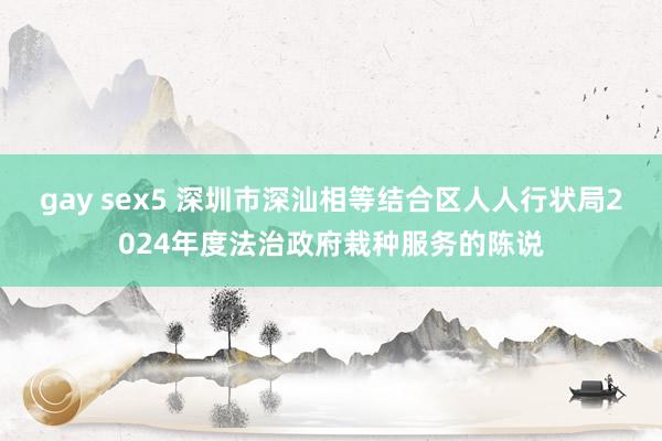 gay sex5 深圳市深汕相等结合区人人行状局2024年度法治政府栽种服务的陈说