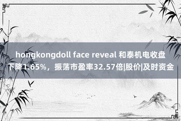 hongkongdoll face reveal 和泰机电收盘下降1.65%，振荡市盈率32.57倍|股价|及时资金