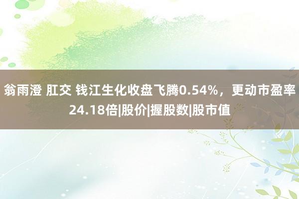 翁雨澄 肛交 钱江生化收盘飞腾0.54%，更动市盈率24.18倍|股价|握股数|股市值