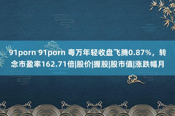 91porn 91porn 粤万年轻收盘飞腾0.87%，转念市盈率162.71倍|股价|握股|股市值|涨跌幅月