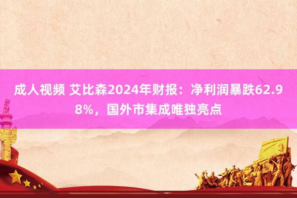 成人视频 艾比森2024年财报：净利润暴跌62.98%，国外市集成唯独亮点