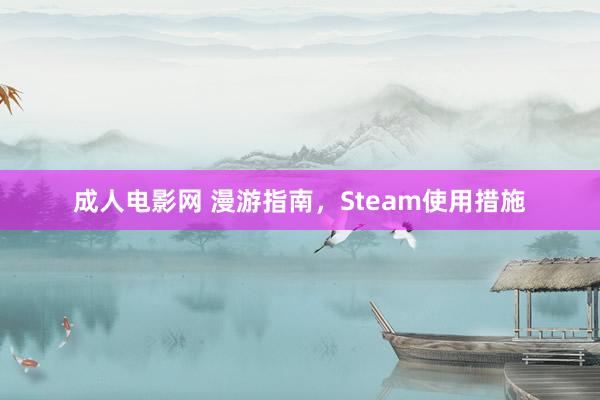 成人电影网 漫游指南，Steam使用措施