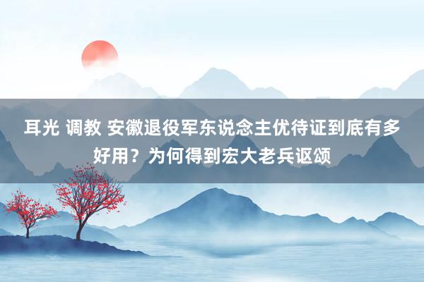 耳光 调教 安徽退役军东说念主优待证到底有多好用？为何得到宏大老兵讴颂