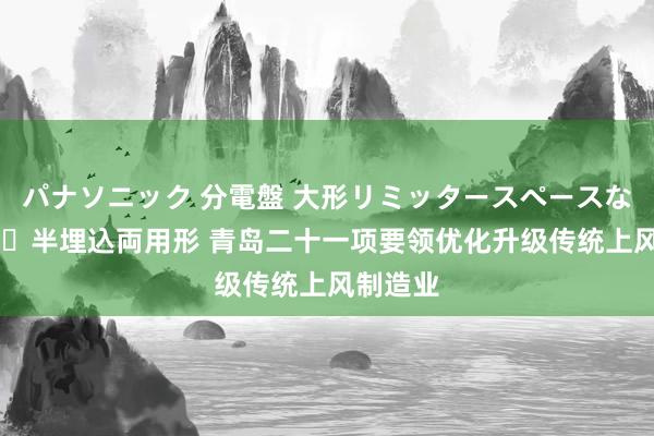 パナソニック 分電盤 大形リミッタースペースなし 露出・半埋込両用形 青岛二十一项要领优化升级传统上风制造业